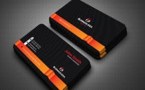 Professional Business card Screenshot 2