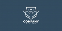 Eagle Shield Logo Screenshot 2